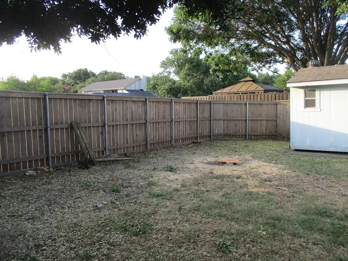 Cleared yard after professional tree removal in Bulls Gap