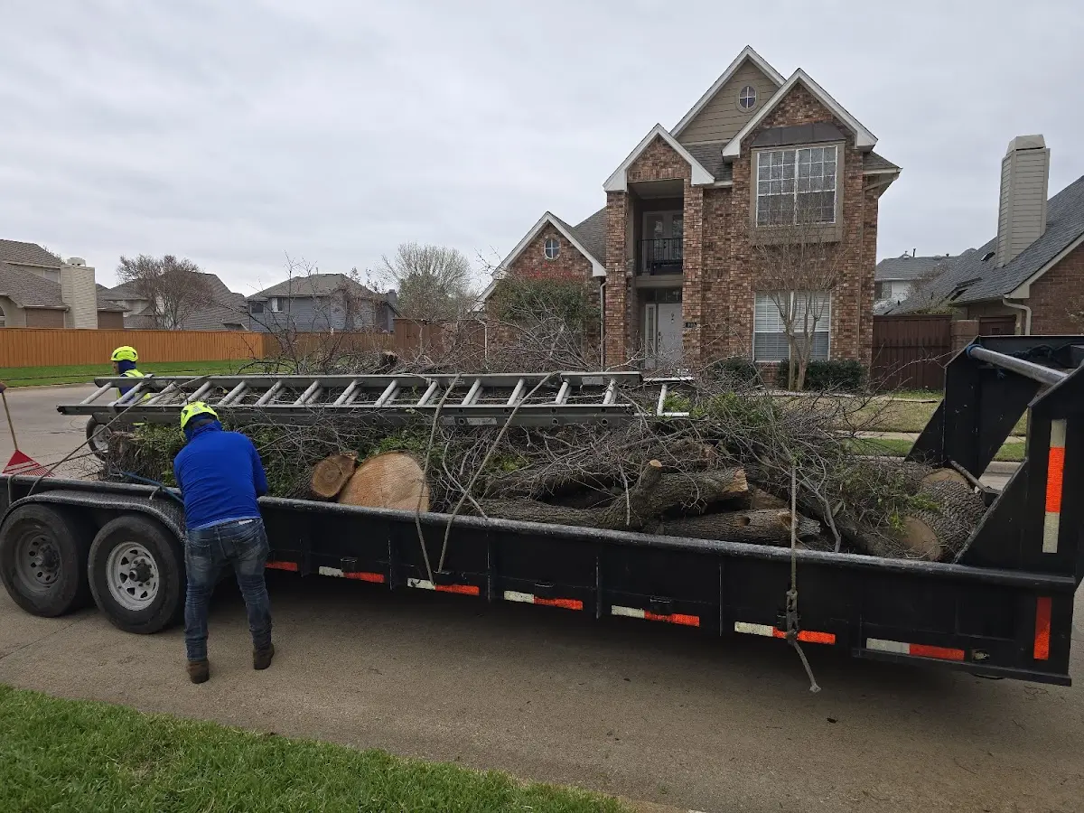 Expert Tree Fertilization with proper safety equipment in Bulls Gap